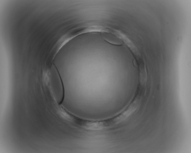 X0000113311369200909281116