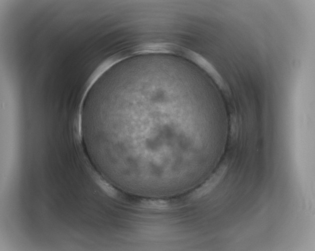 X0000113311370200909281116