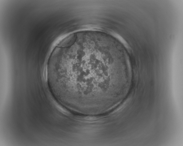 X0000113311371200909281116