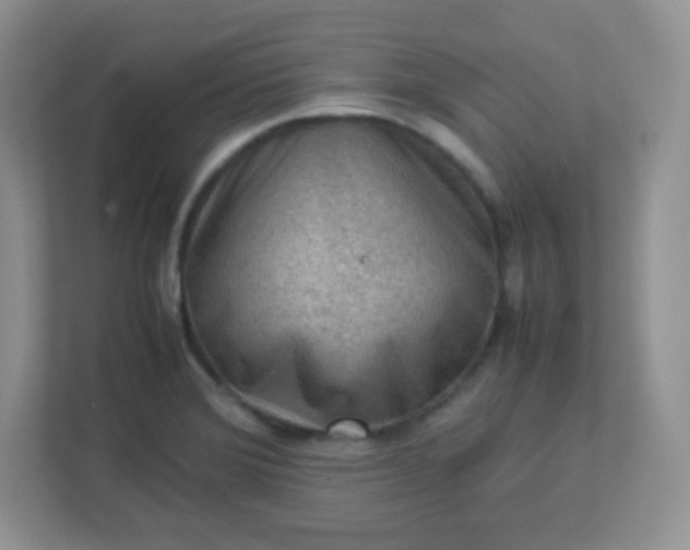 X0000113311372200909281116