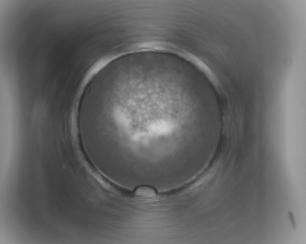 X0000113311373200909281116