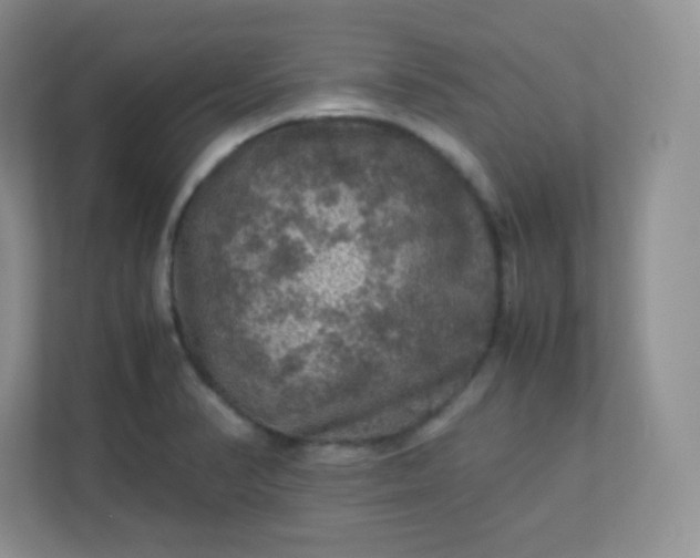 X0000113311374200909281116