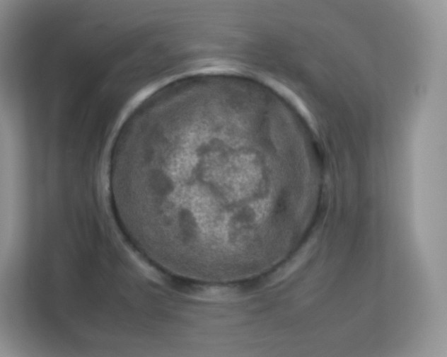 X0000113311375200909281116