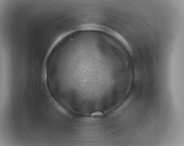 X0000113311376200909281116