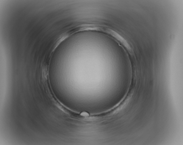 X0000113311377200909281116