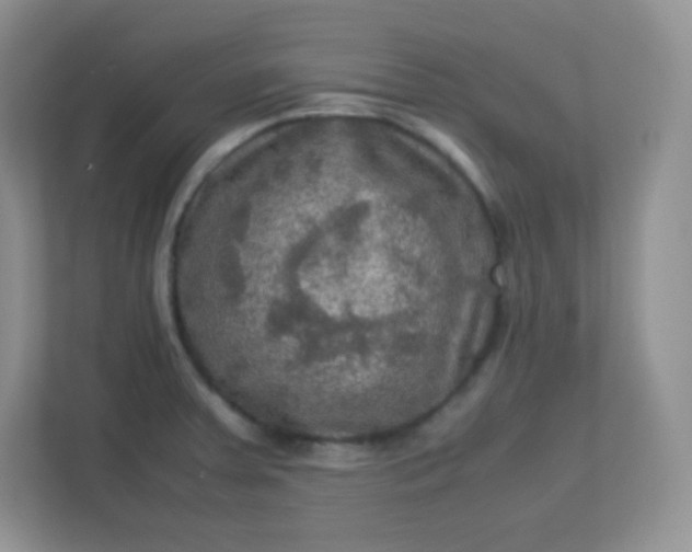 X0000113311379200909281116