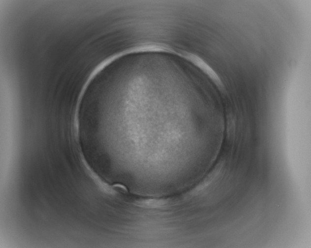 X0000113311380200909281116