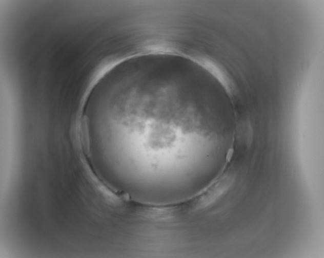 X0000113311381200909281116