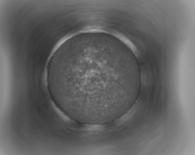 X0000113311382200909281116