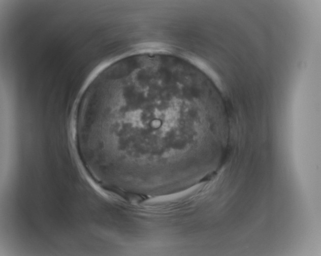 X0000113311383200909281116