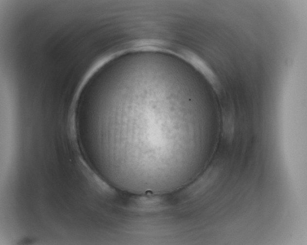 X0000113311384200909281116