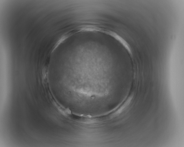 X0000113311385200909281116