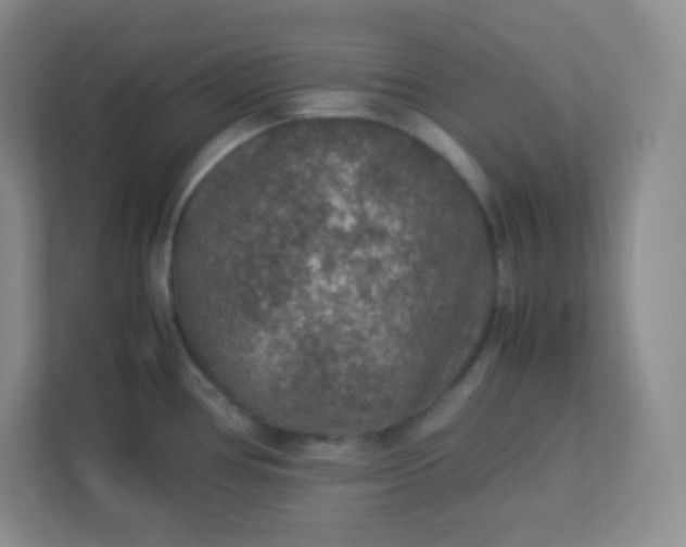 X0000113311386200909281116