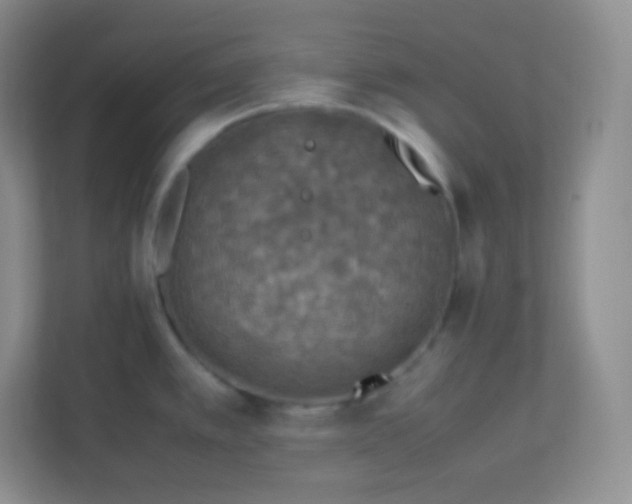 X0000113311389200909281116