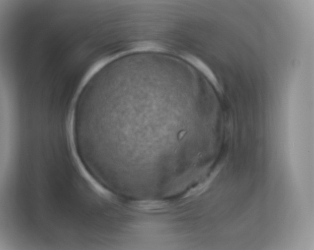 X0000113311391200909281116