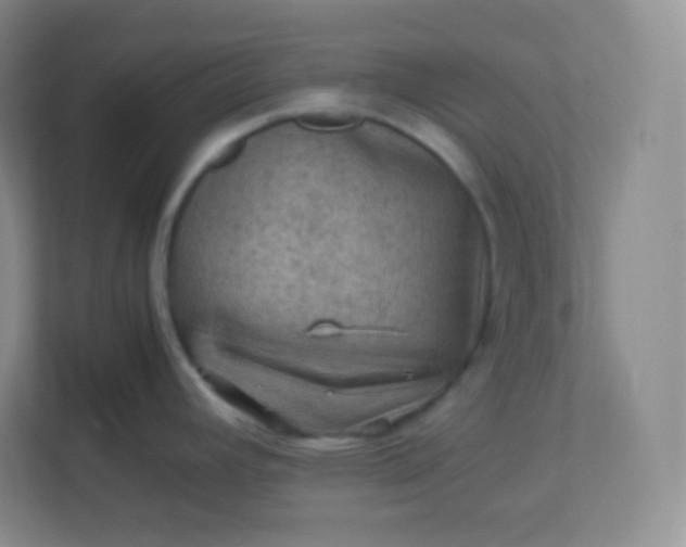 X0000113311392200909281116