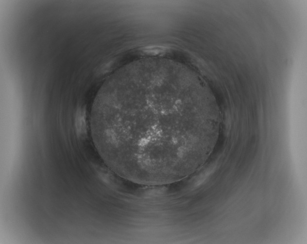 X0000113311394200909281115