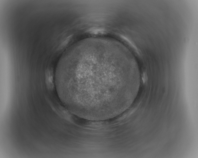 X0000113311396200909281115