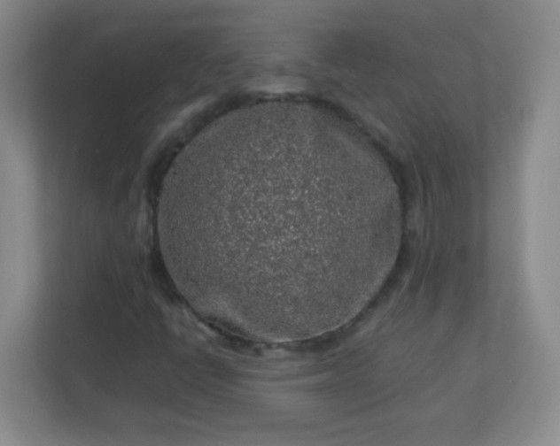 X0000113311398200909281115