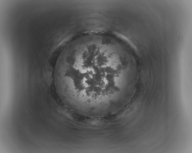 X0000113311399200909281115