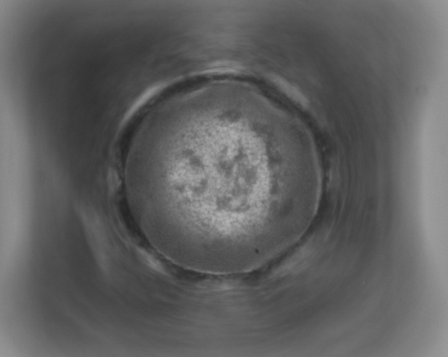 X0000113311400200909281115