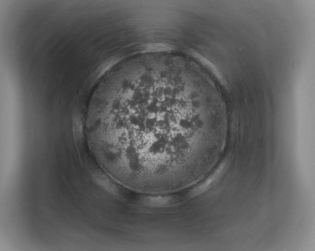 X0000113311401200909281115