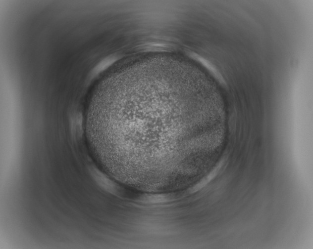 X0000113311402200909281115