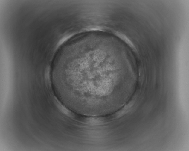 X0000113311404200909281115