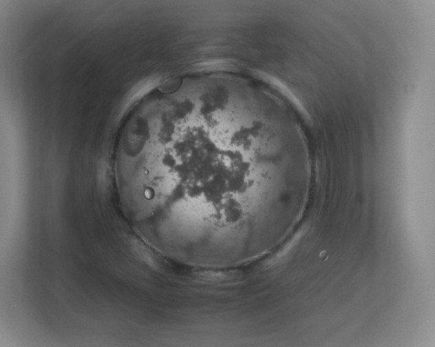 X0000113311405200909281115