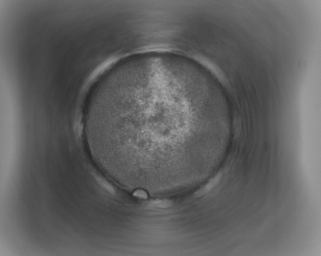 X0000113311406200909281115