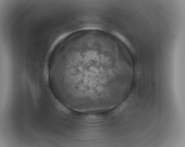 X0000113311408200909281115