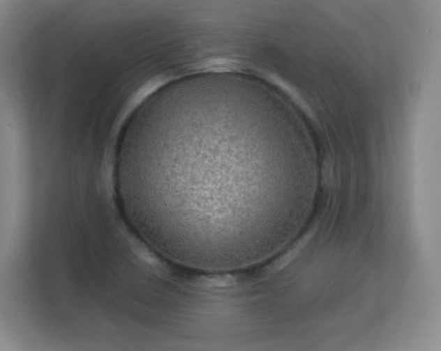 X0000113311410200909281115