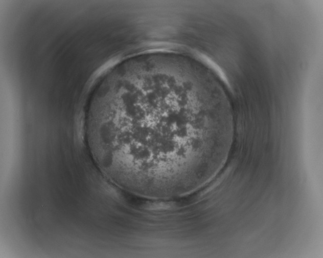 X0000113311411200909281115