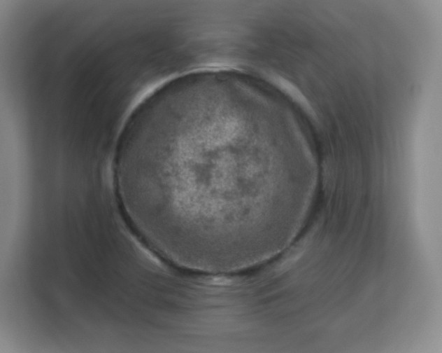 X0000113311412200909281115