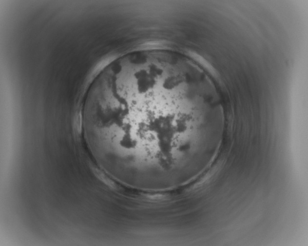 X0000113311413200909281115