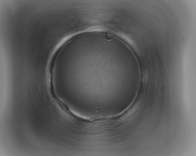 X0000113311414200909281115