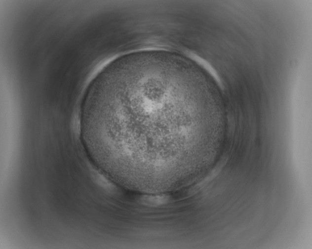 X0000113311415200909281115