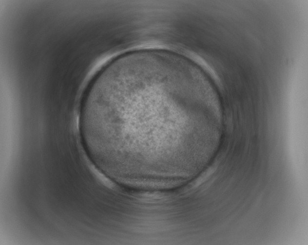 X0000113311416200909281115