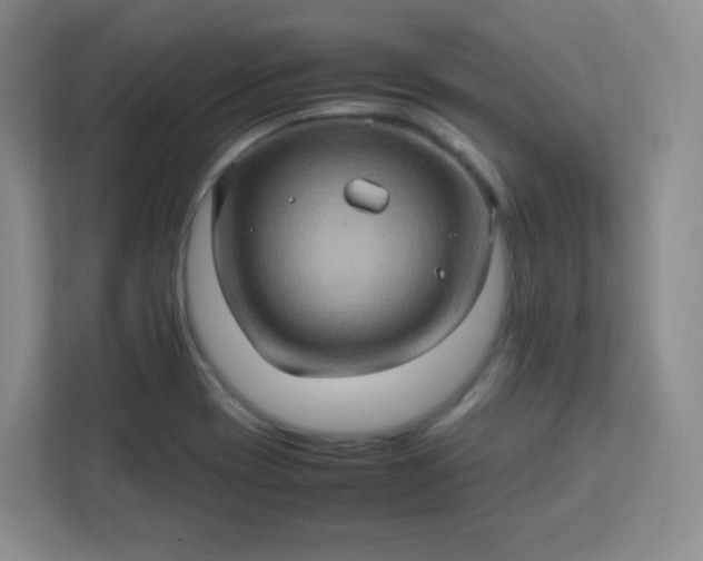 X0000113311417200909281115