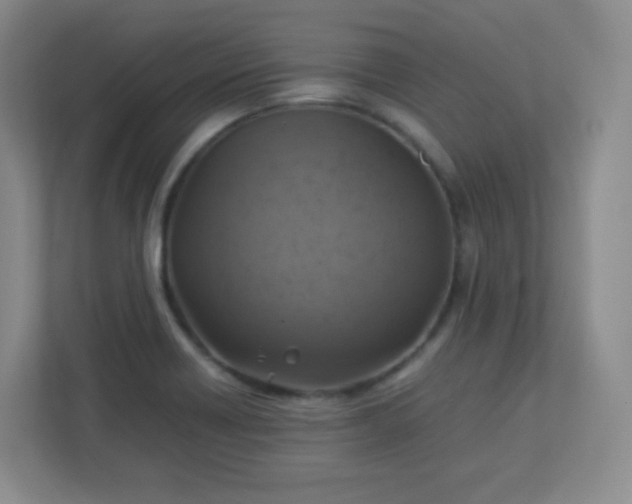 X0000113311418200909281115