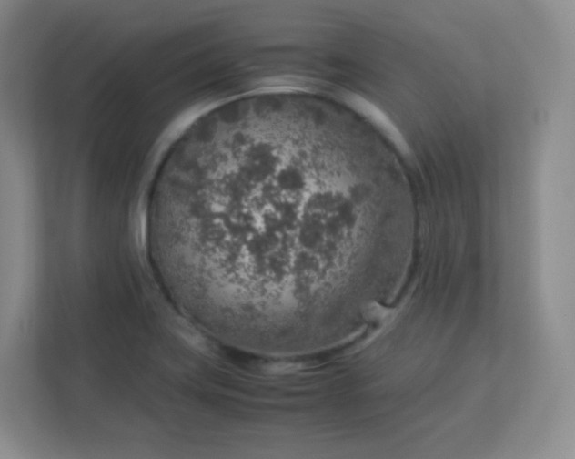 X0000113311419200909281115