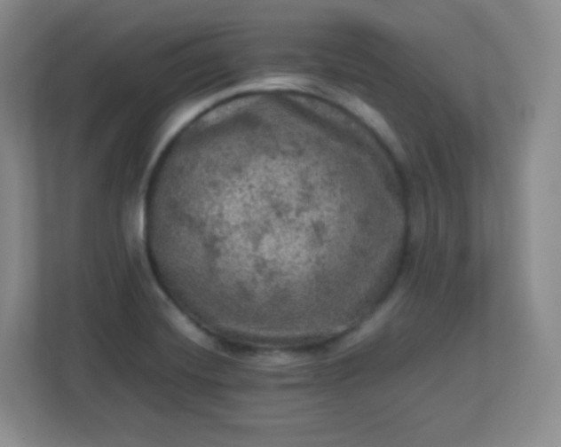 X0000113311420200909281115