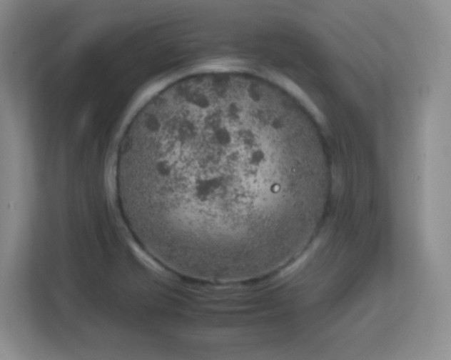 X0000113311421200909281115