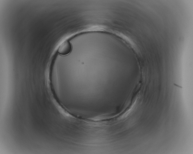 X0000113311422200909281115