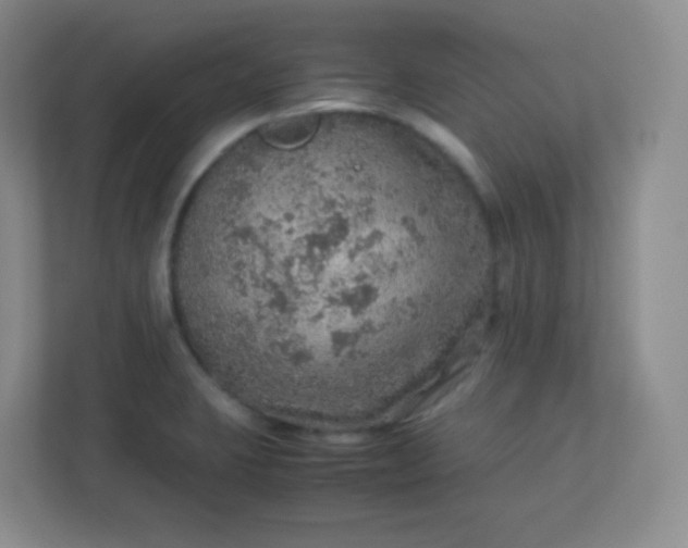 X0000113311423200909281115