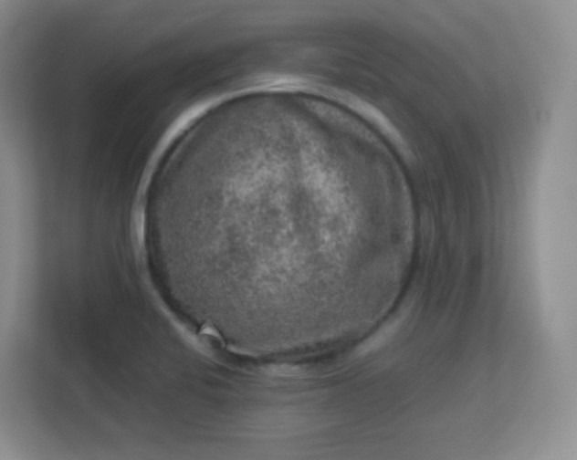 X0000113311424200909281115