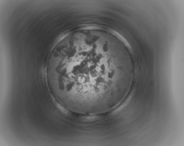 X0000113311425200909281115