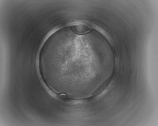 X0000113311426200909281115