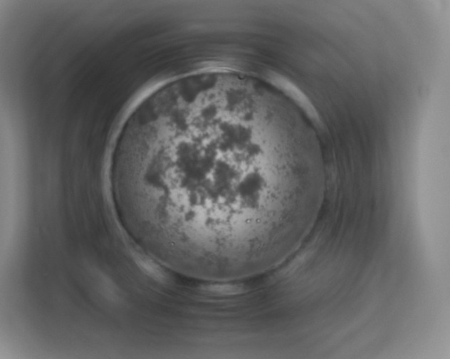 X0000113311427200909281115