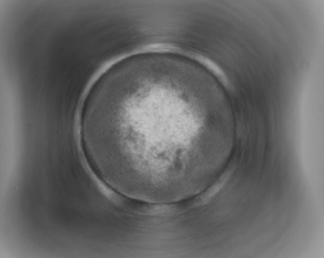 X0000113311430200909281115